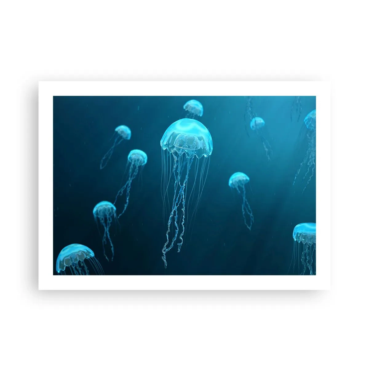 Plakat - Havets dans - 70x50 cm