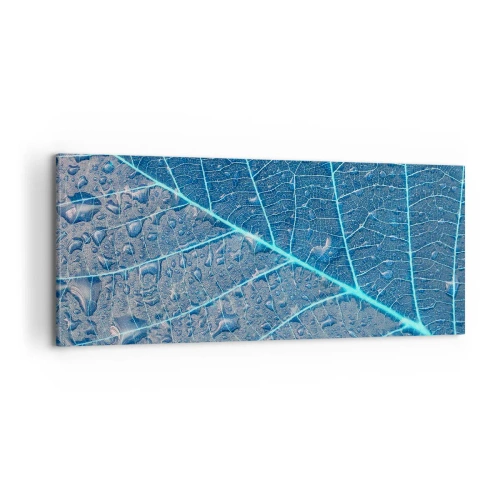Lærredstryk - Billede på lærred - Livet i det blå - 100x40 cm
