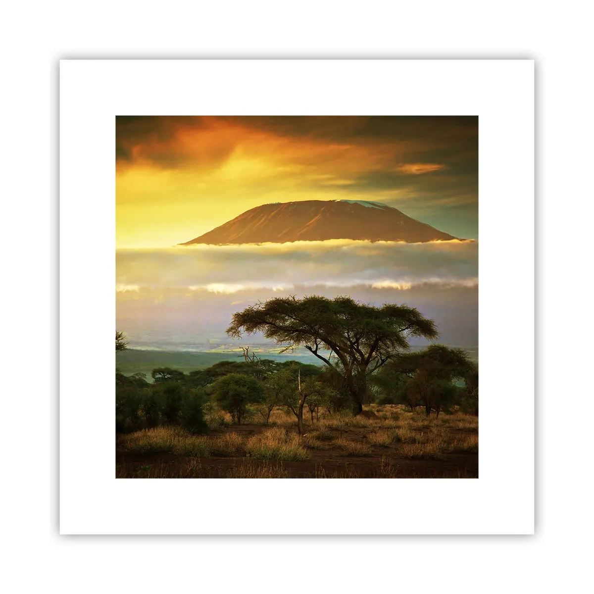 Plakat - En rejsendes drøm - 30x30 cm