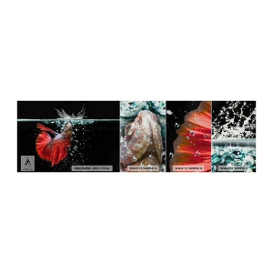 Prøve Fototapet Premium Canvas - Du har tre ønsker - Abstraktion, Akvarium, Fisk - 100x30 cm