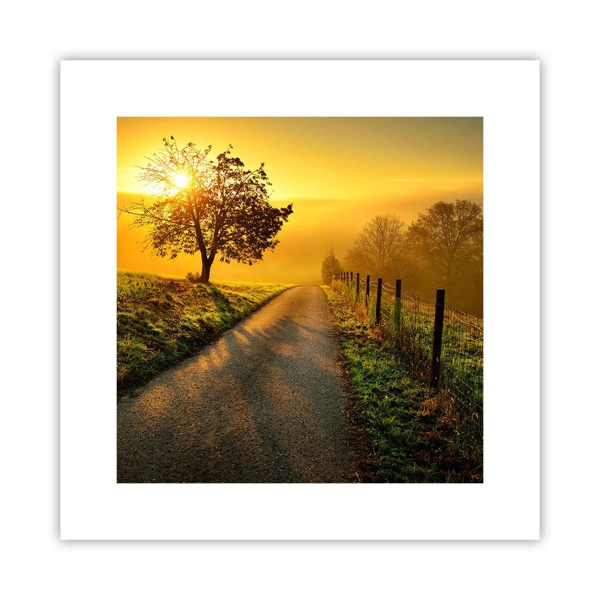 Plakat - Kære eftermiddag - 30x30 cm