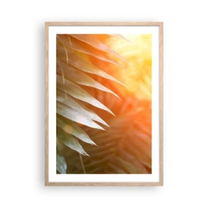Plakat i ramme af lyst egetræ - Morgen i junglen - 50x70 cm