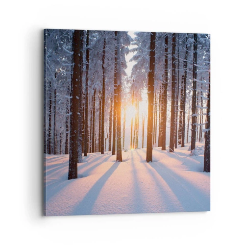 Lærredstryk - Billede på lærred - Klart i sort og hvidt - 70x70 cm