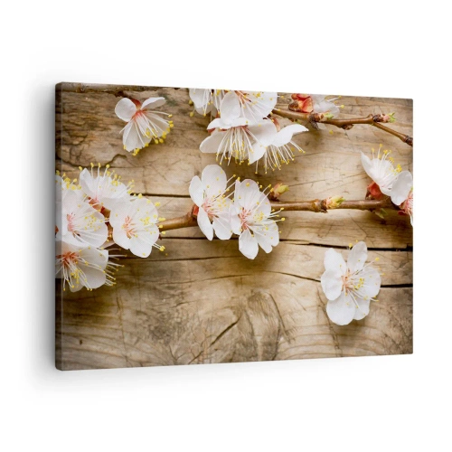Lærredstryk - Billede på lærred - Grene af blomstrende kirsebærtræer på en træplade baggrund - 70x50cm - Og det blev forår - Moderne vægdekoration til stue og soveværelse ARTTOR