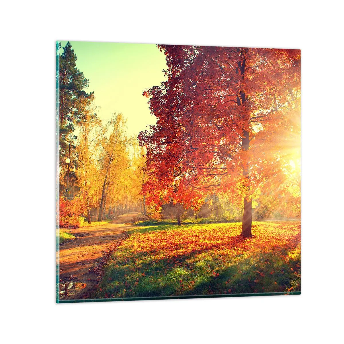 Billede på glas - Rød er smuk - 40x40 cm