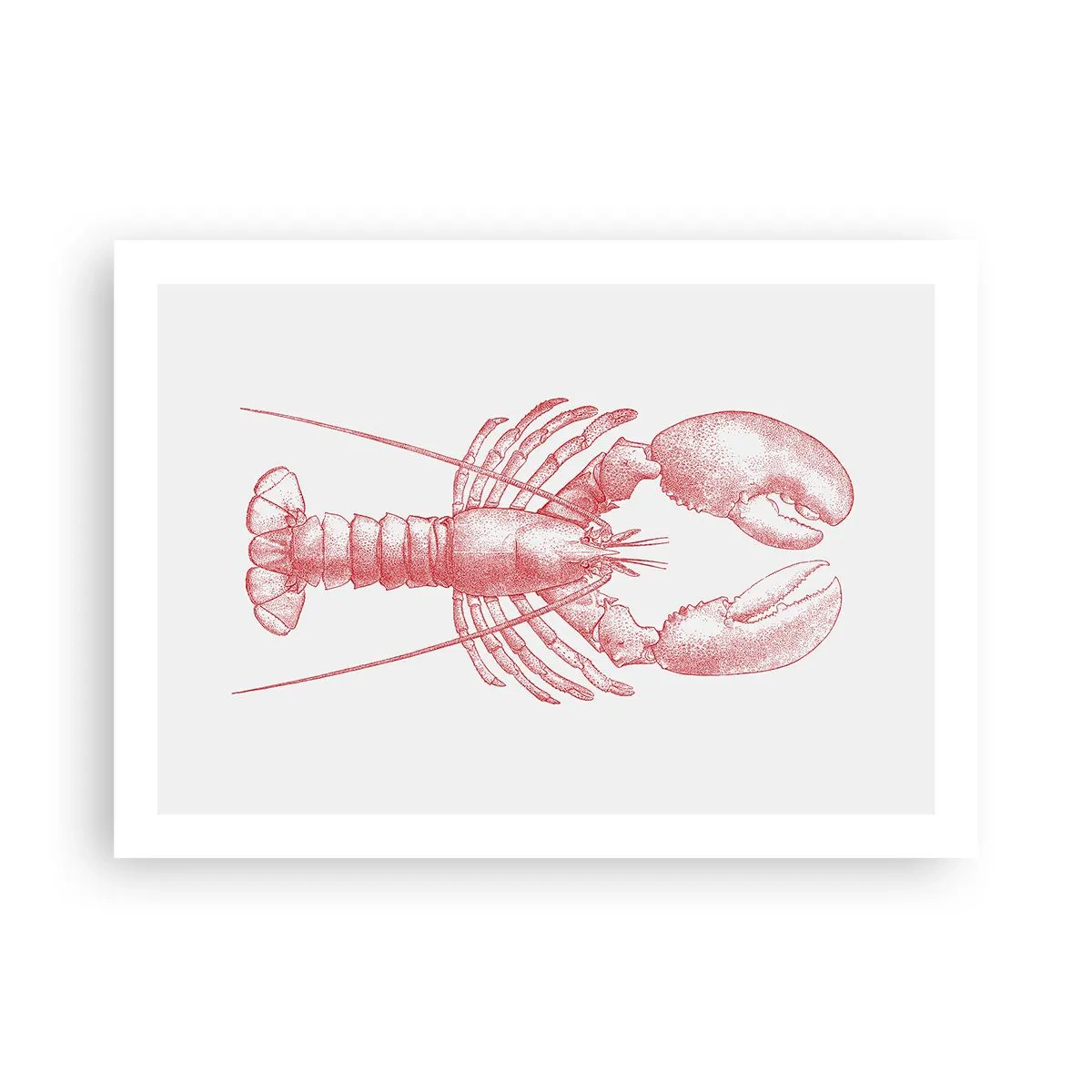 Plakat - Hummer, der er Homer værdig - 70x50 cm