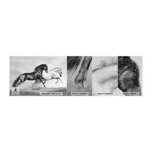 Prøve Fototapet Premium Sand - Engle og dæmoner - Dyr, Heste, Natur - 100x30 cm