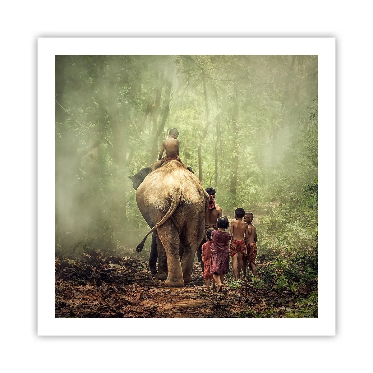 Plakat - Den nye Junglebog - 60x60 cm