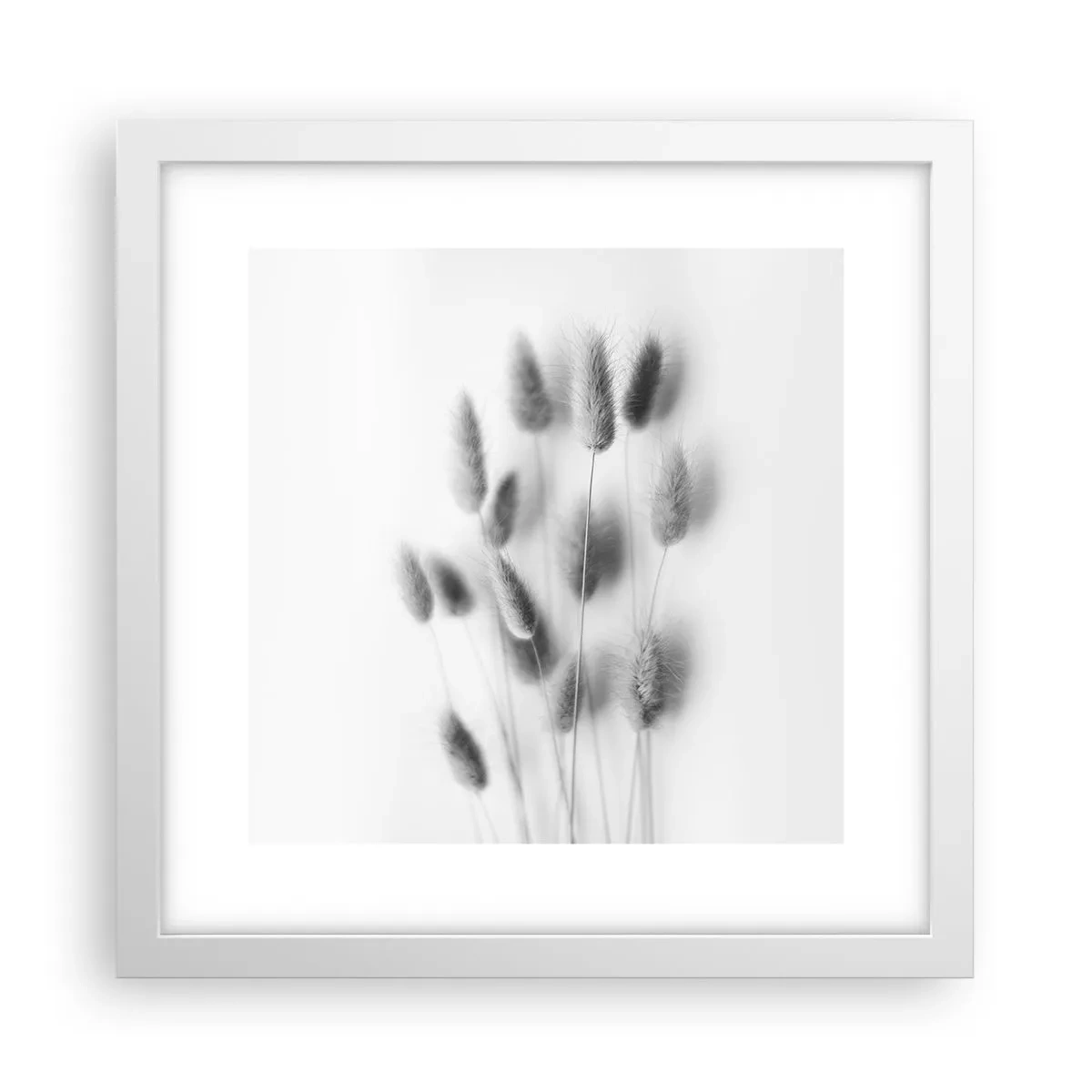 Plakat i hvid ramme - Dens bløde græs - 30x30 cm
