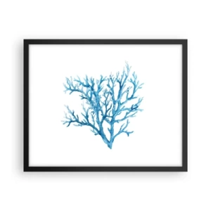 Plakat i sort ramme - Marint filigran - 50x40 cm