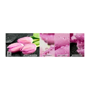 Prøve Fototapet Premium Sand - Lilla tre på sort sten - Blomster, Tulipaner, Buket blomster - 100x30 cm