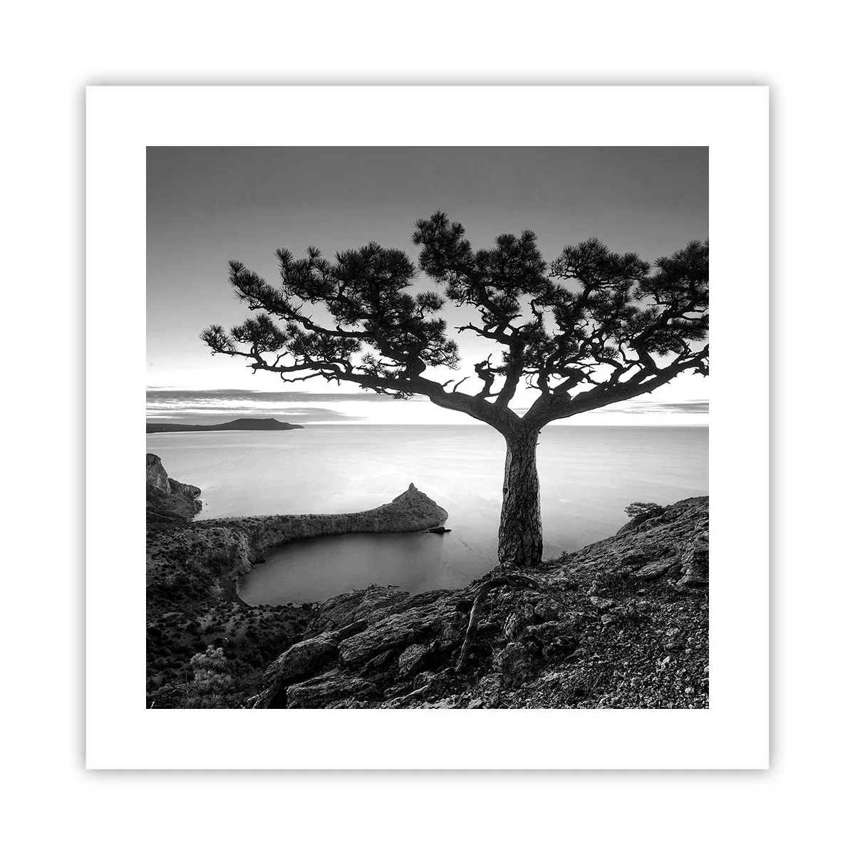 Plakat - Fred hele vejen til horisonten - 40x40 cm