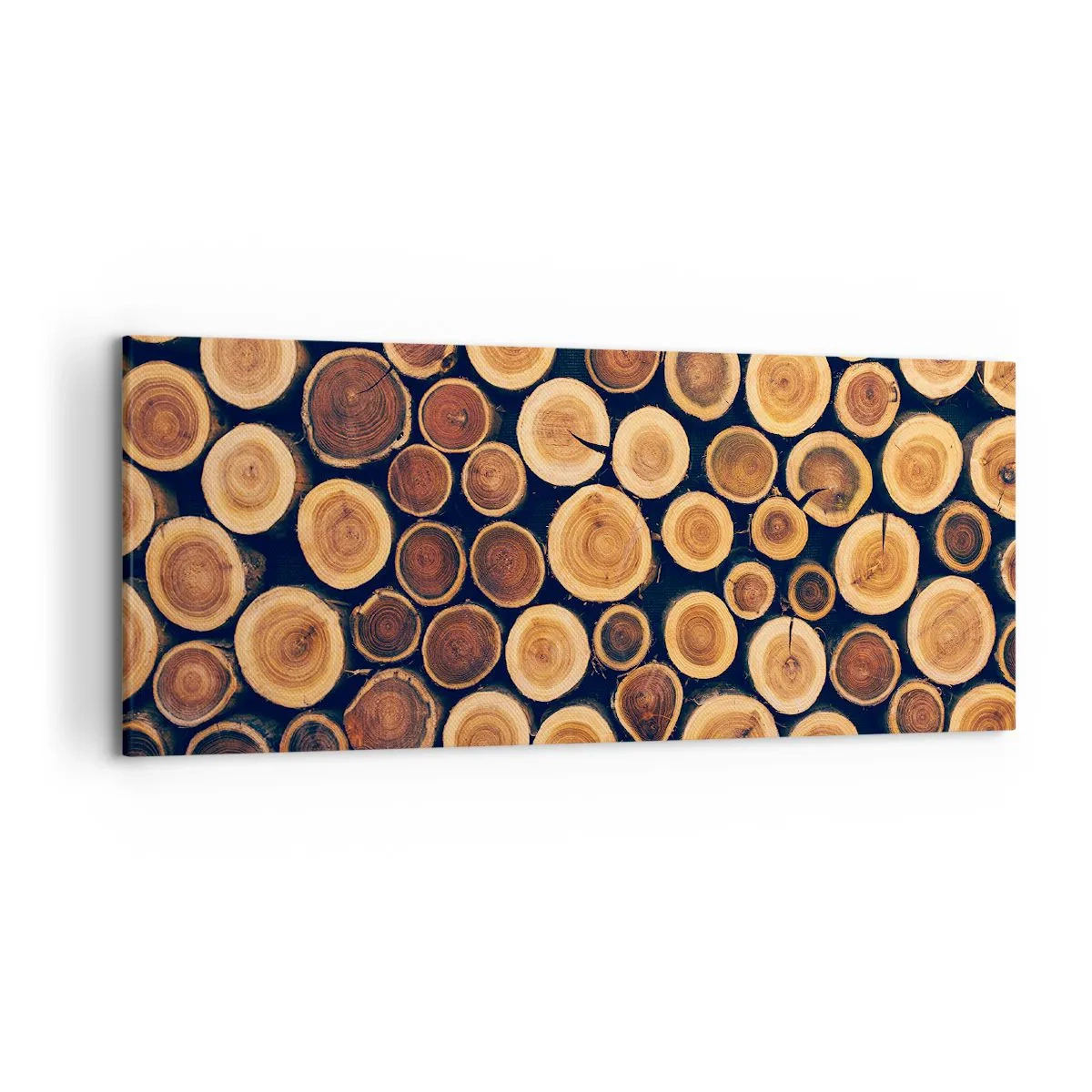 Lærredstryk - Billede på lærred - Hvor gammel ser jeg ud? - 120x50 cm