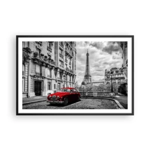 Plakat i sort ramme - Rovdyr i byen - 91x61 cm