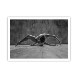 Plakat - Symmetri fundet - 100x70 cm