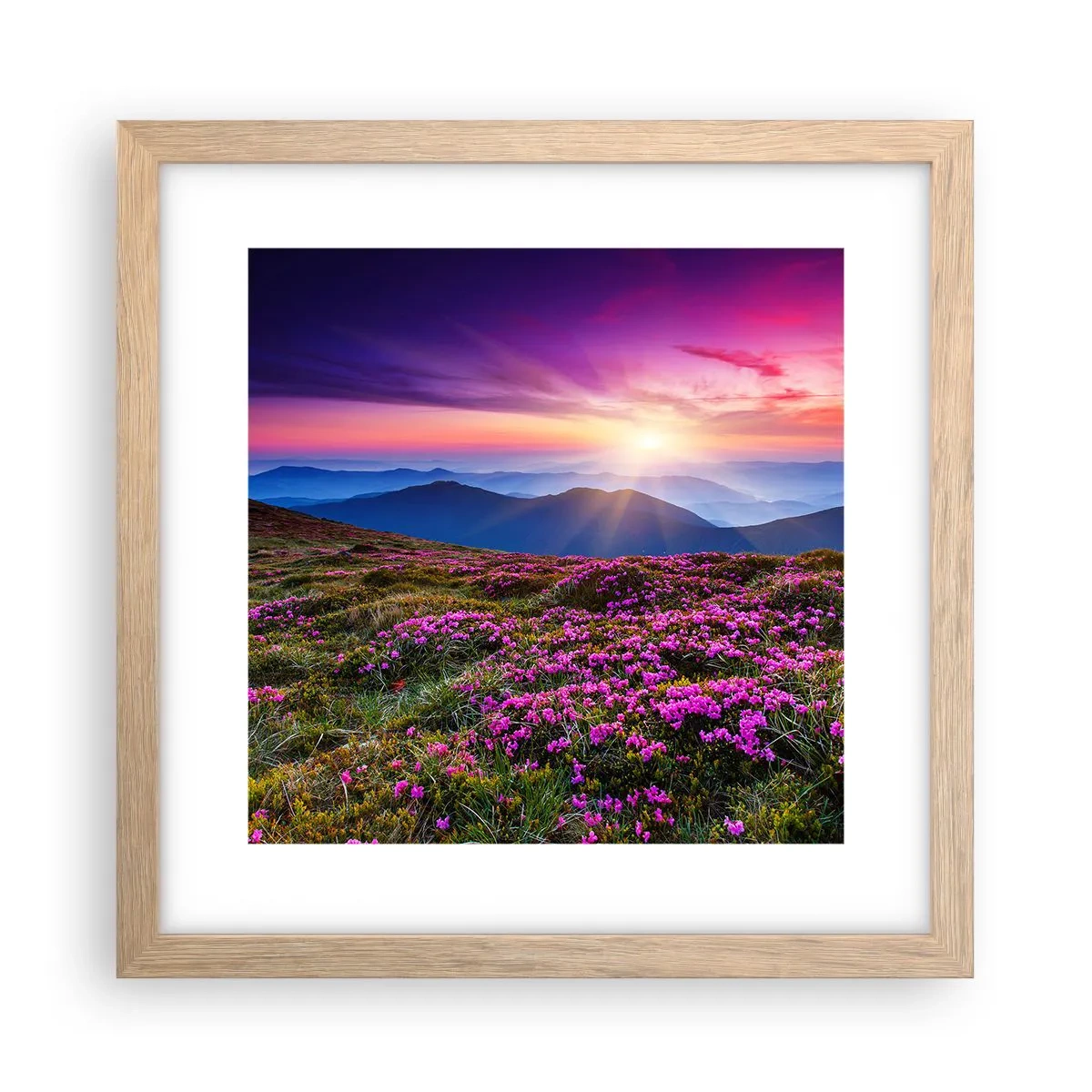 Plakat i ramme af lyst egetræ - Urter duftede friske bundter fra niw - 30x30 cm