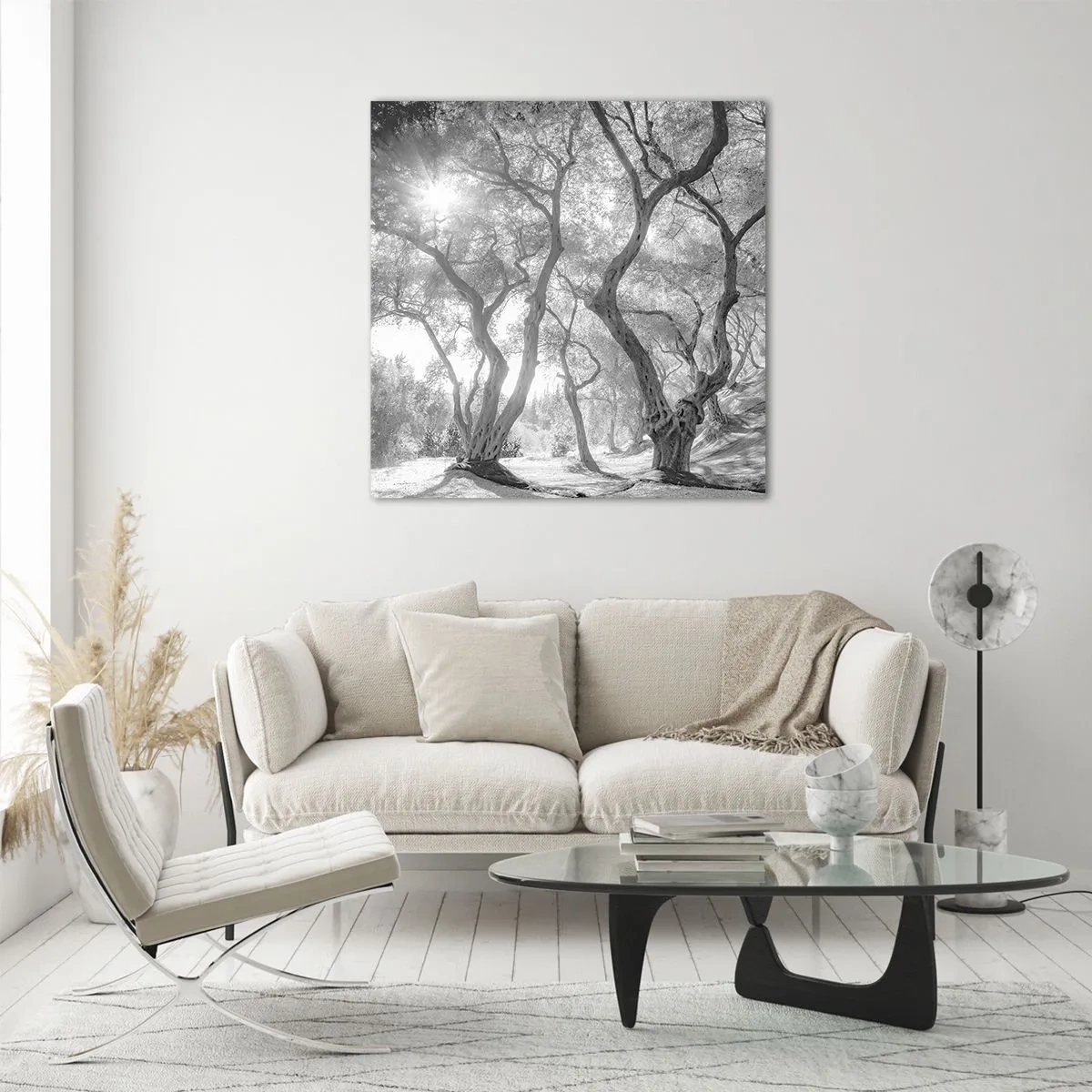 Billede på glas - I en olivenlund - 40x40 cm