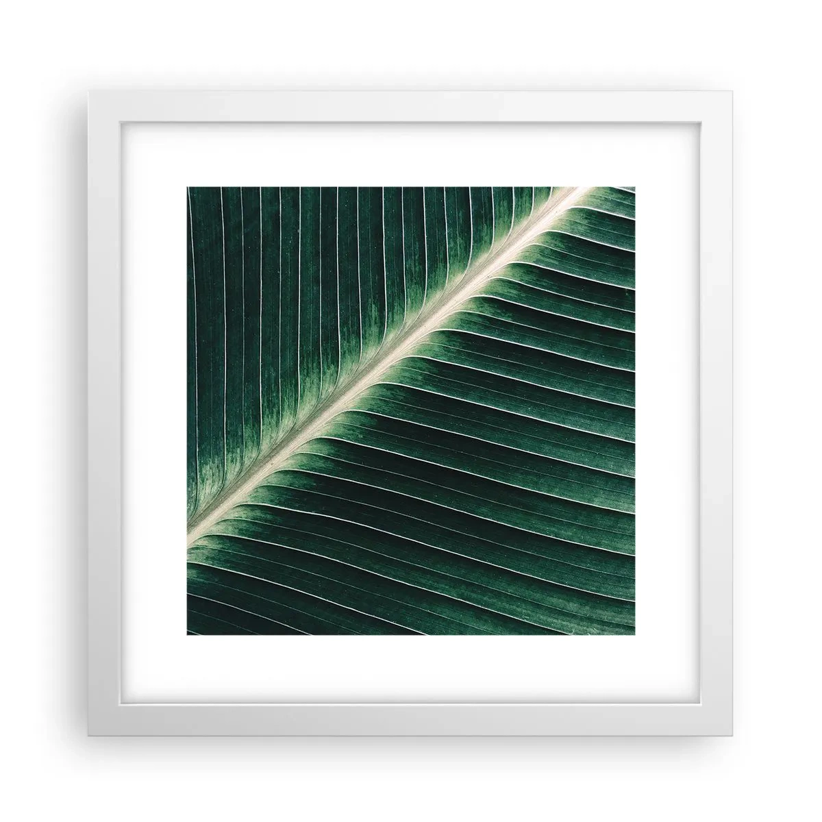 Plakat i hvid ramme - Naturens rytme - 30x30 cm