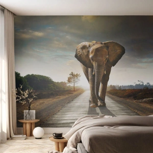 Fototapet Standard Eco - En elefant går langs en vej i lyset af den nedgående sol - 100x70cm - Og slet ikke i en porcelænsbutik - Moderne vægdekoration til stue og soveværelse ARTTOR