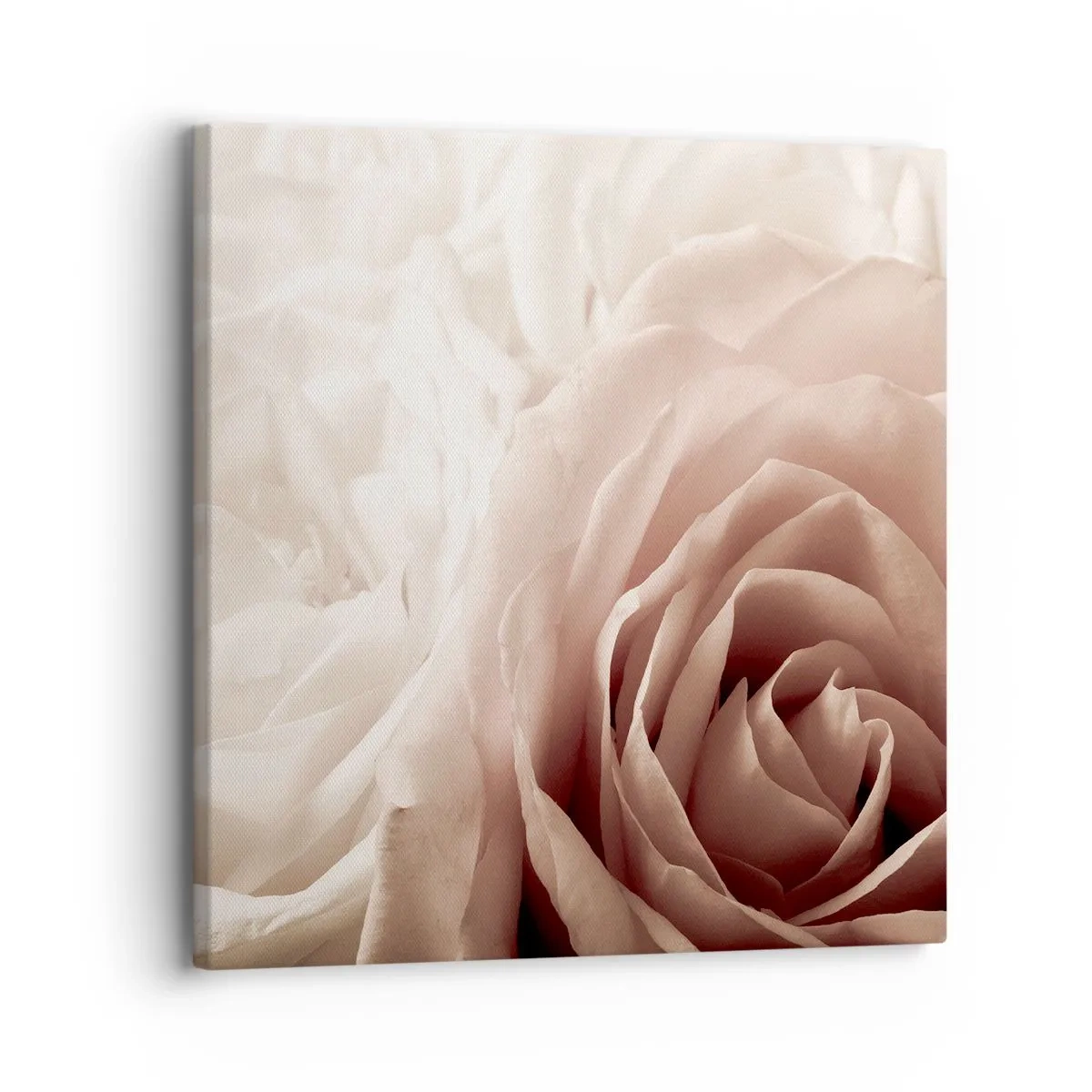 Lærredstryk - Billede på lærred - I rosens hjerte - 30x30 cm