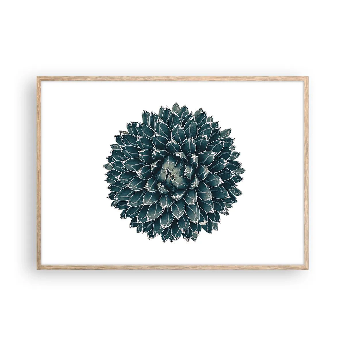 Plakat i ramme af lyst egetræ - Ørkenstjerne - 100x70 cm