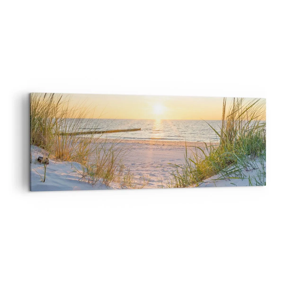 Lærredstryk - Billede på lærred - Havet brummer, fuglene synger, en vild strand midt i græsset.... - 140x50 cm