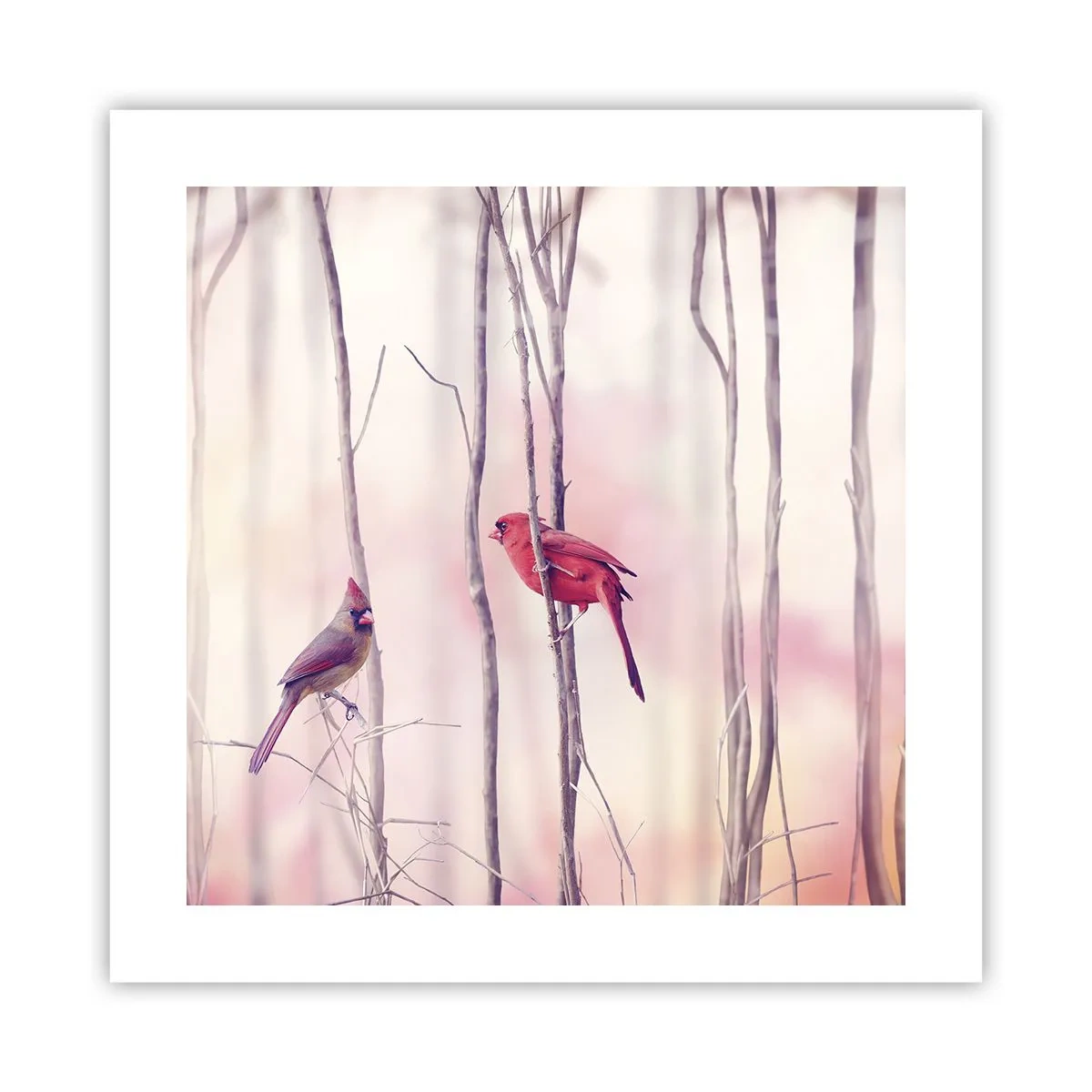 Plakat - Fortællingen om den lyserøde skov - 40x40 cm