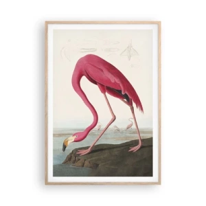 Plakat i ramme af lyst egetræ - Et forbløffende væsen - 70x100 cm