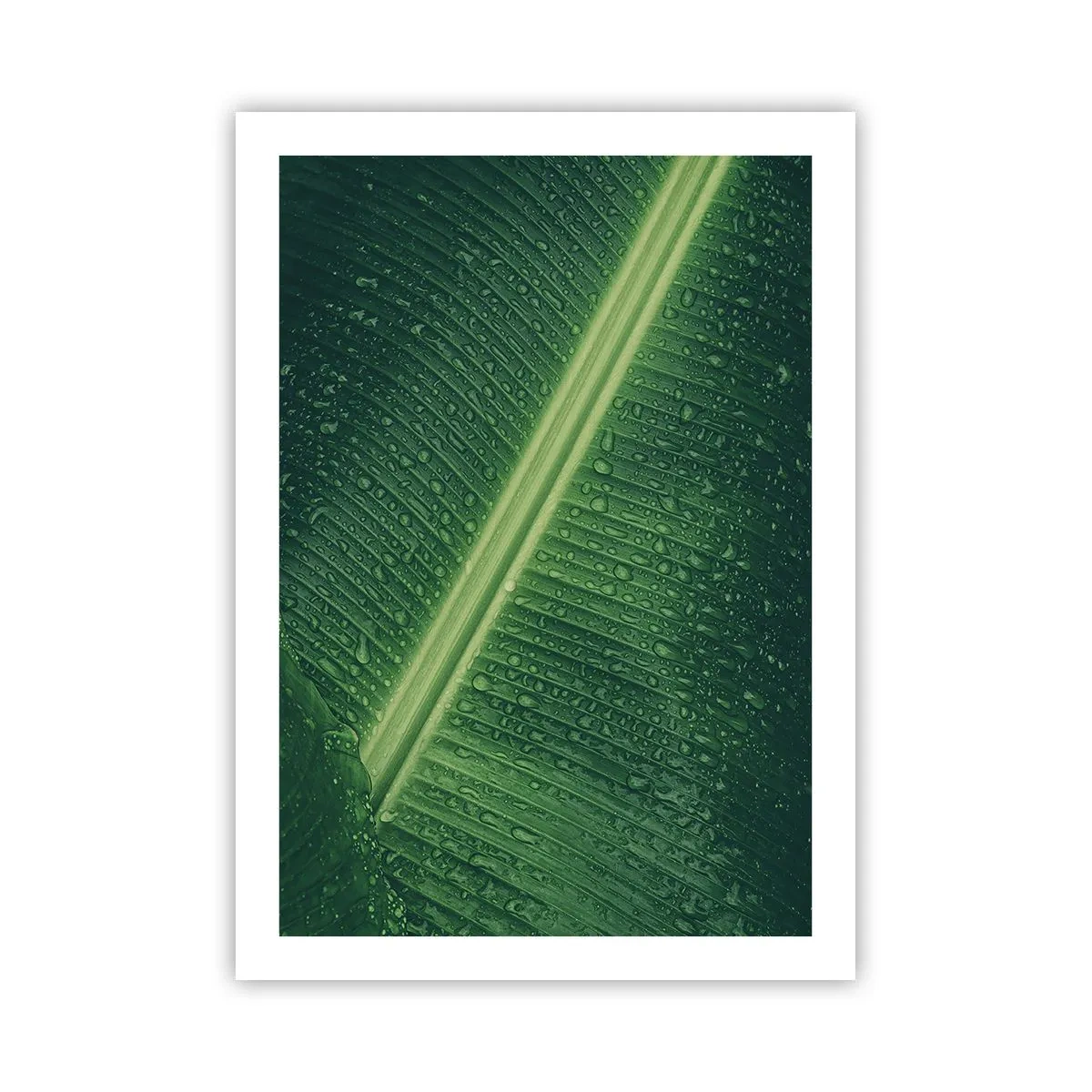 Plakat - Grøn struktur - 50x70 cm