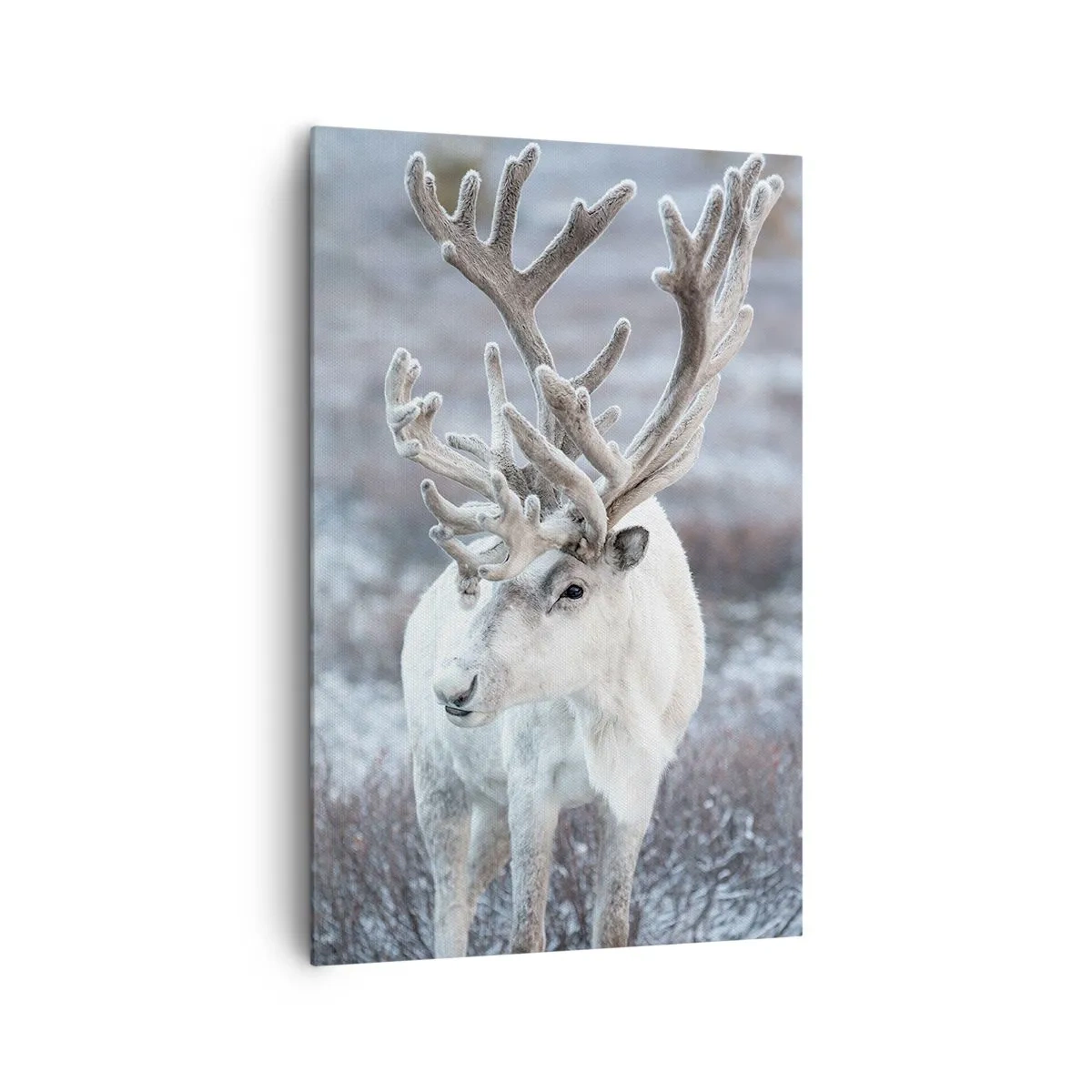 Lærredstryk - Billede på lærred - Portræt i solen - 80x120 cm