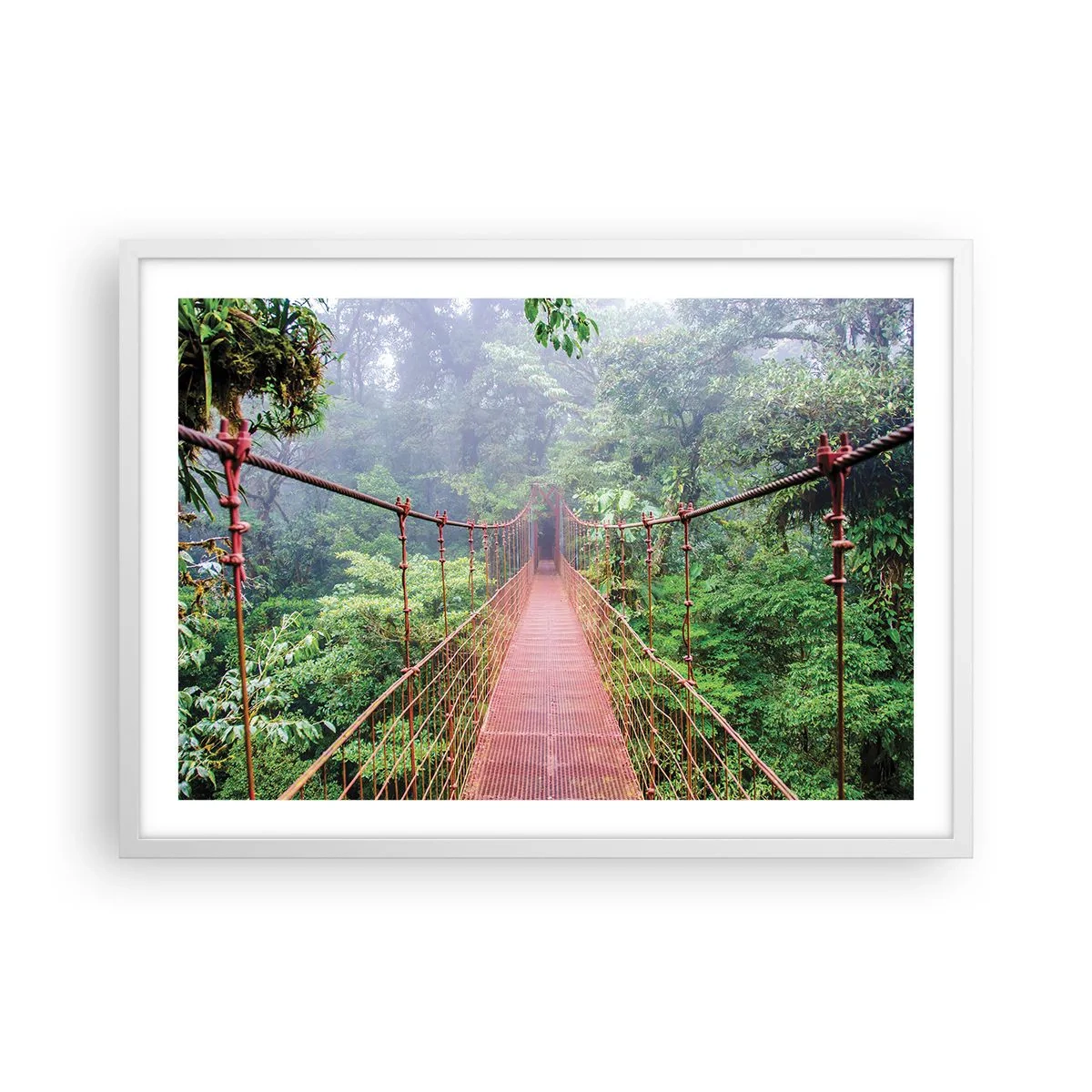 Plakat i hvid ramme - Ophængt over kronerne - 70x50 cm