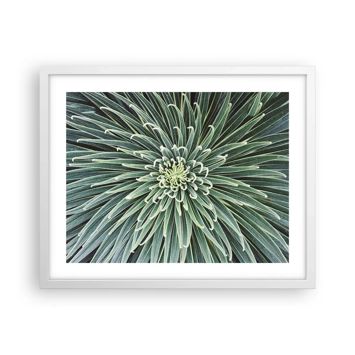 Plakat i hvid ramme - En stjernes fødsel - 50x40 cm