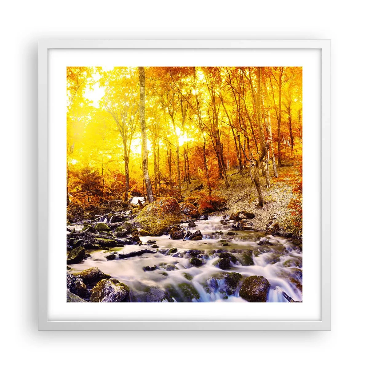 Plakat i hvid ramme - Sten indfattet i guld og platin - 50x50 cm