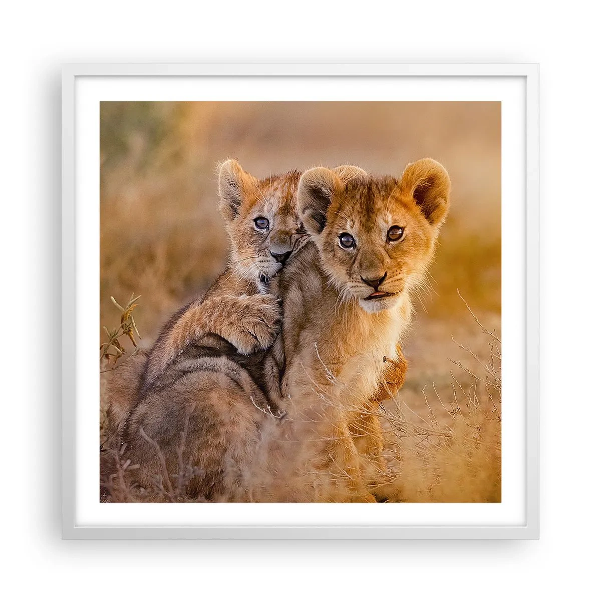 Plakat i hvid ramme - Forstyr ikke! Vi har det sjovt - 60x60 cm