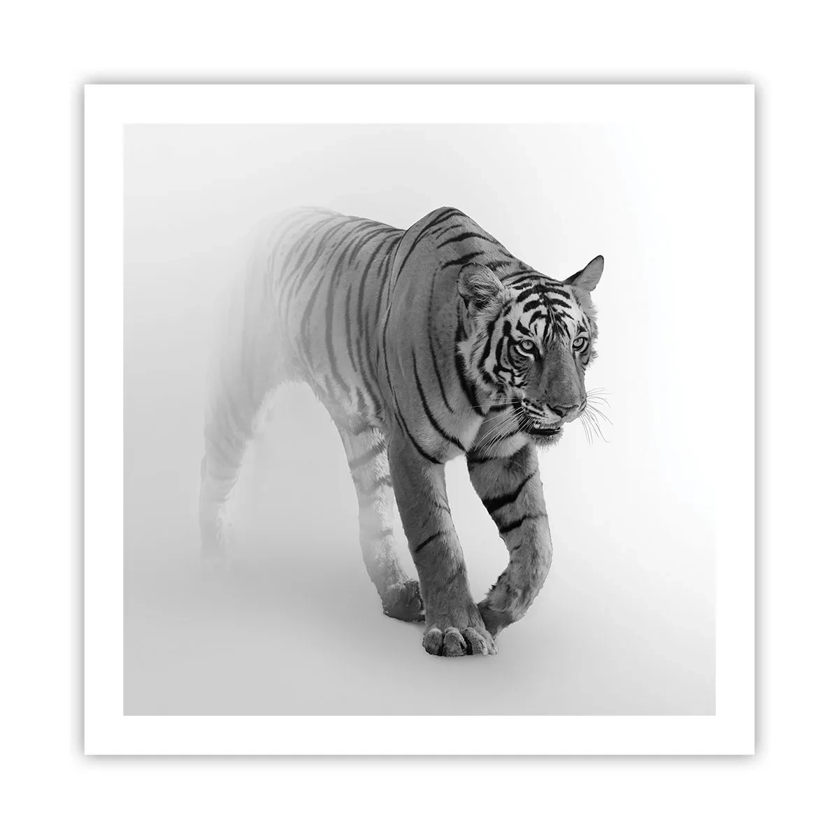 Plakat - Krybende i tågen - 60x60 cm