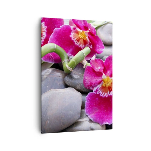 Lærredstryk - Billede på lærred - Kulde og varme - 70x100 cm