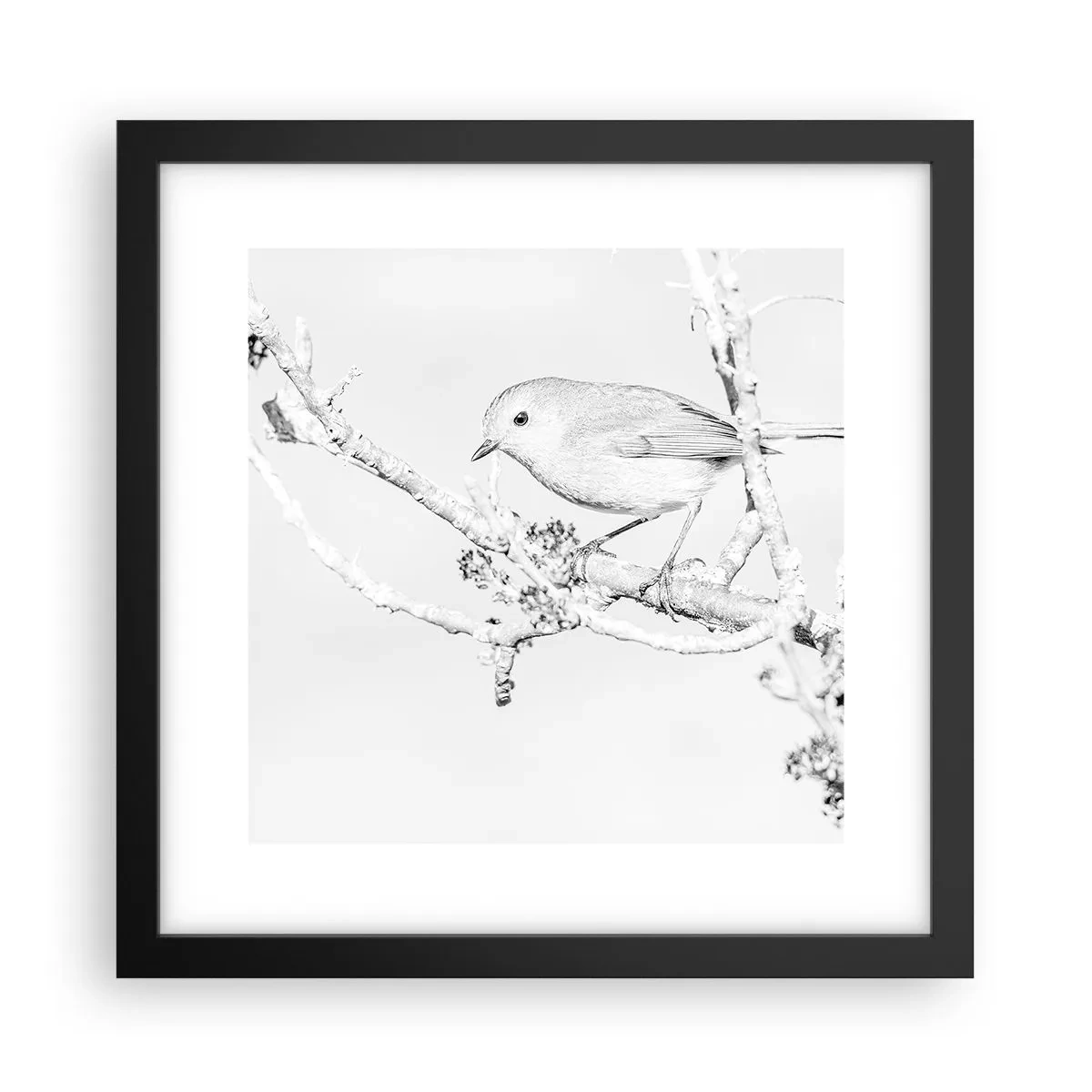 Plakat i sort ramme - Vintermorgen - 30x30 cm