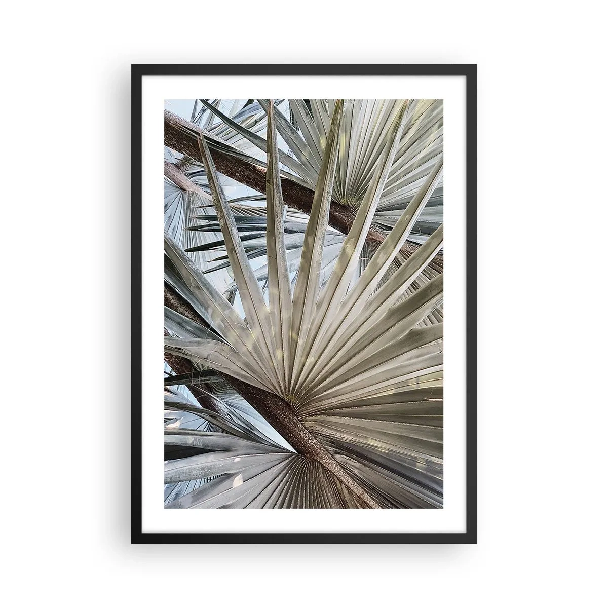 Plakat i sort ramme - Nærbillede af palmeblade i pastelfarver - 50x70cm - Ventilatorer i troperne - Moderne vægdekoration til stue og soveværelse ARTTOR