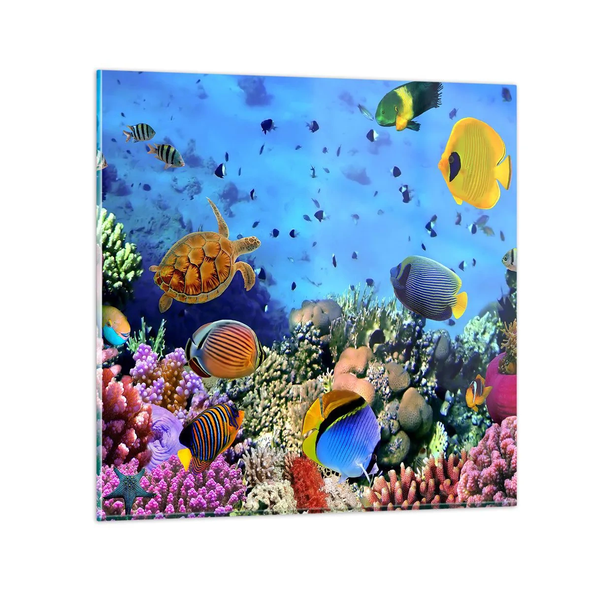 Billede på glas - Og hvad ved vi om livet... - 60x60 cm