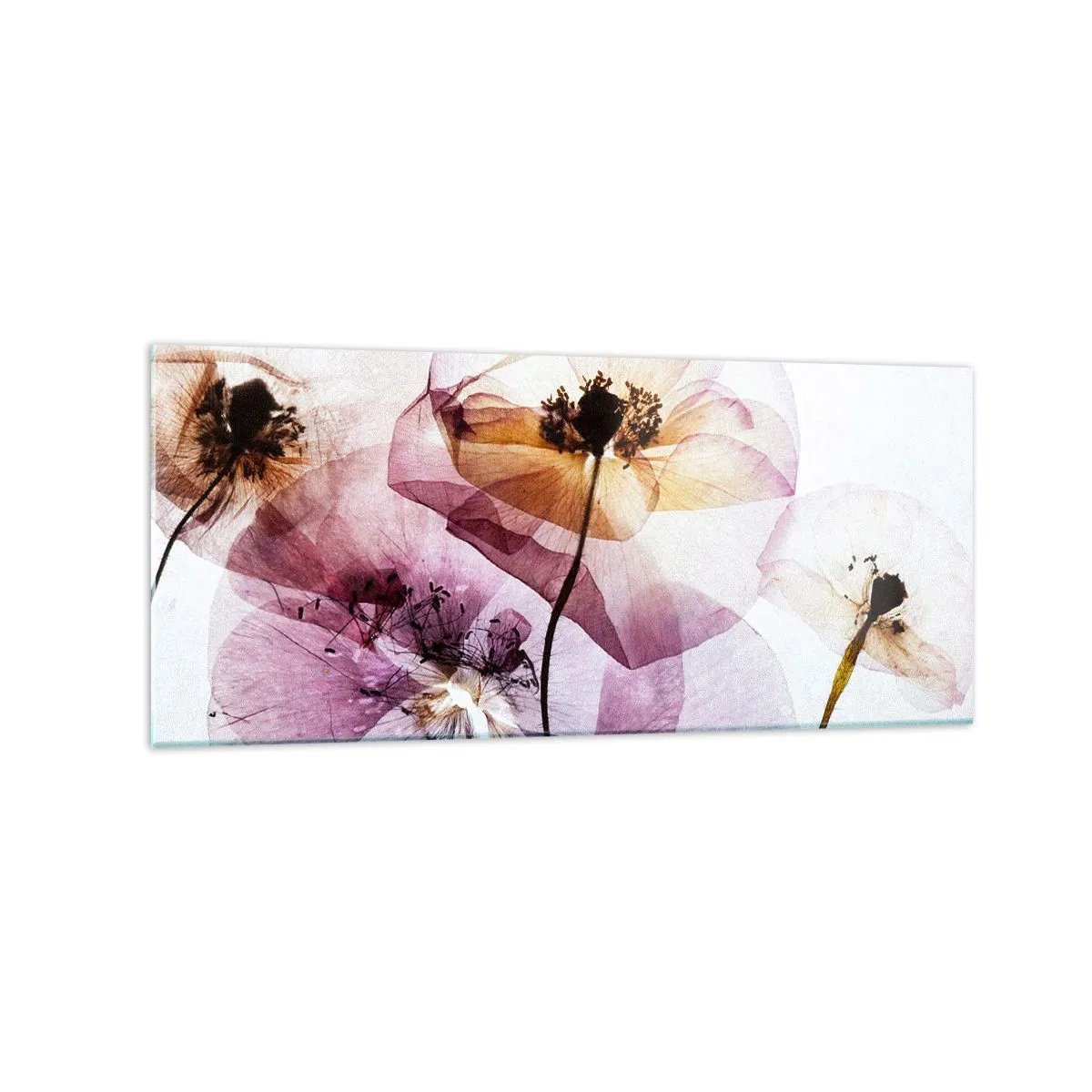 Billede på glas - Blomsterlegeme dias - 120x50 cm
