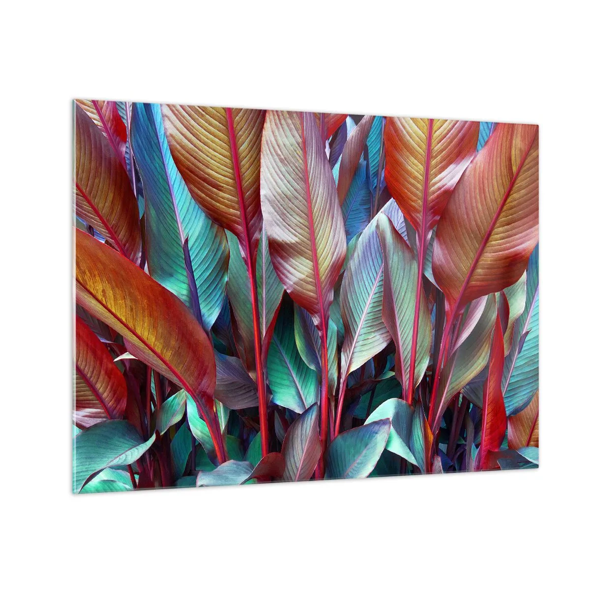 Billede på glas - Et farverigt krat af blade i nuancer af rød, grøn og lilla - 70x50cm - Farverigt krat - Moderne vægdekoration til stue og soveværelse ARTTOR