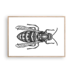 Plakat i ramme af lyst egetræ - Fra en insektplanet - 100x70 cm