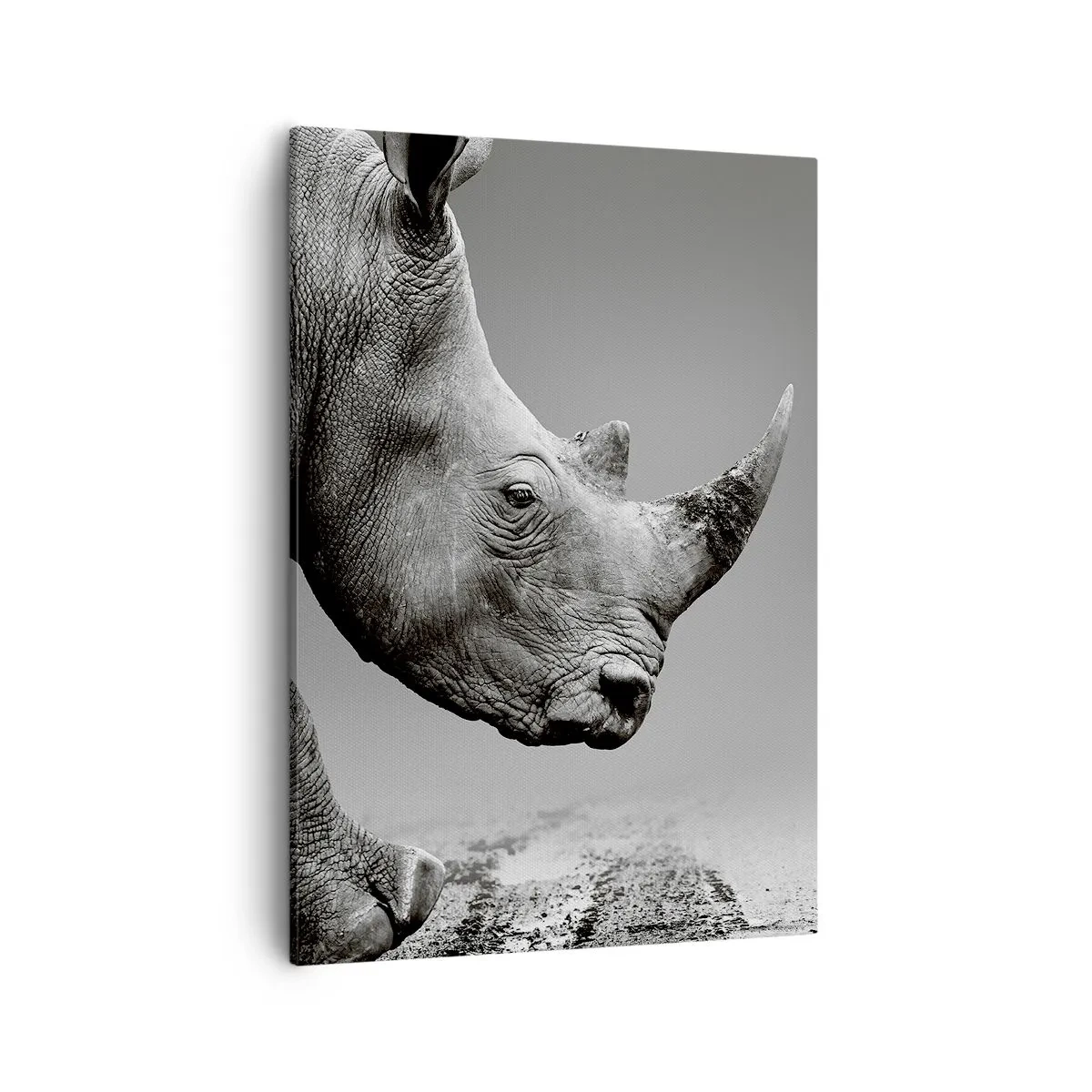 Lærredstryk - Billede på lærred - En ustoppeli - 50x70 cm