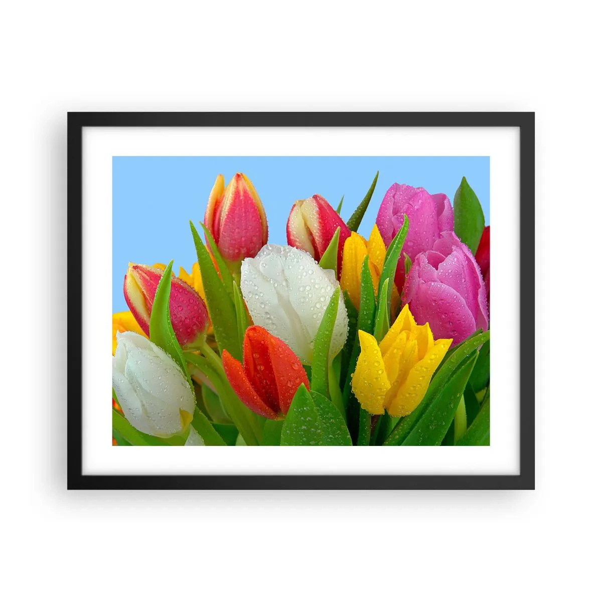 Plakat i sort ramme - En blomstret regnbue i dugdråber - 50x40 cm