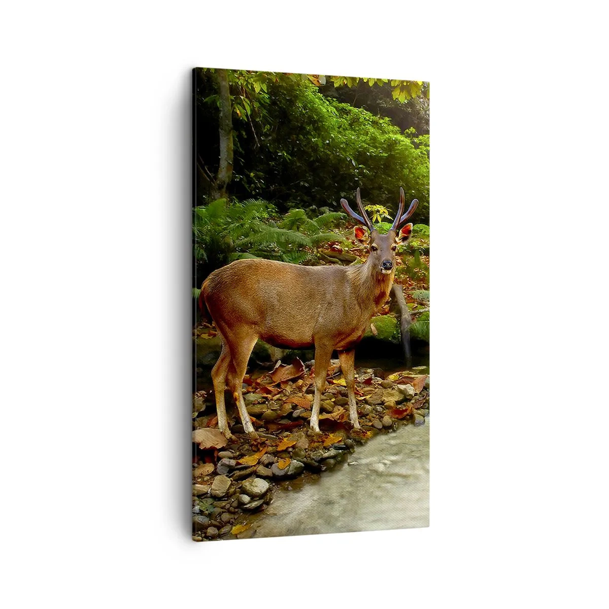 Lærredstryk - Billede på lærred - Velkommen til min verden - 45x80 cm