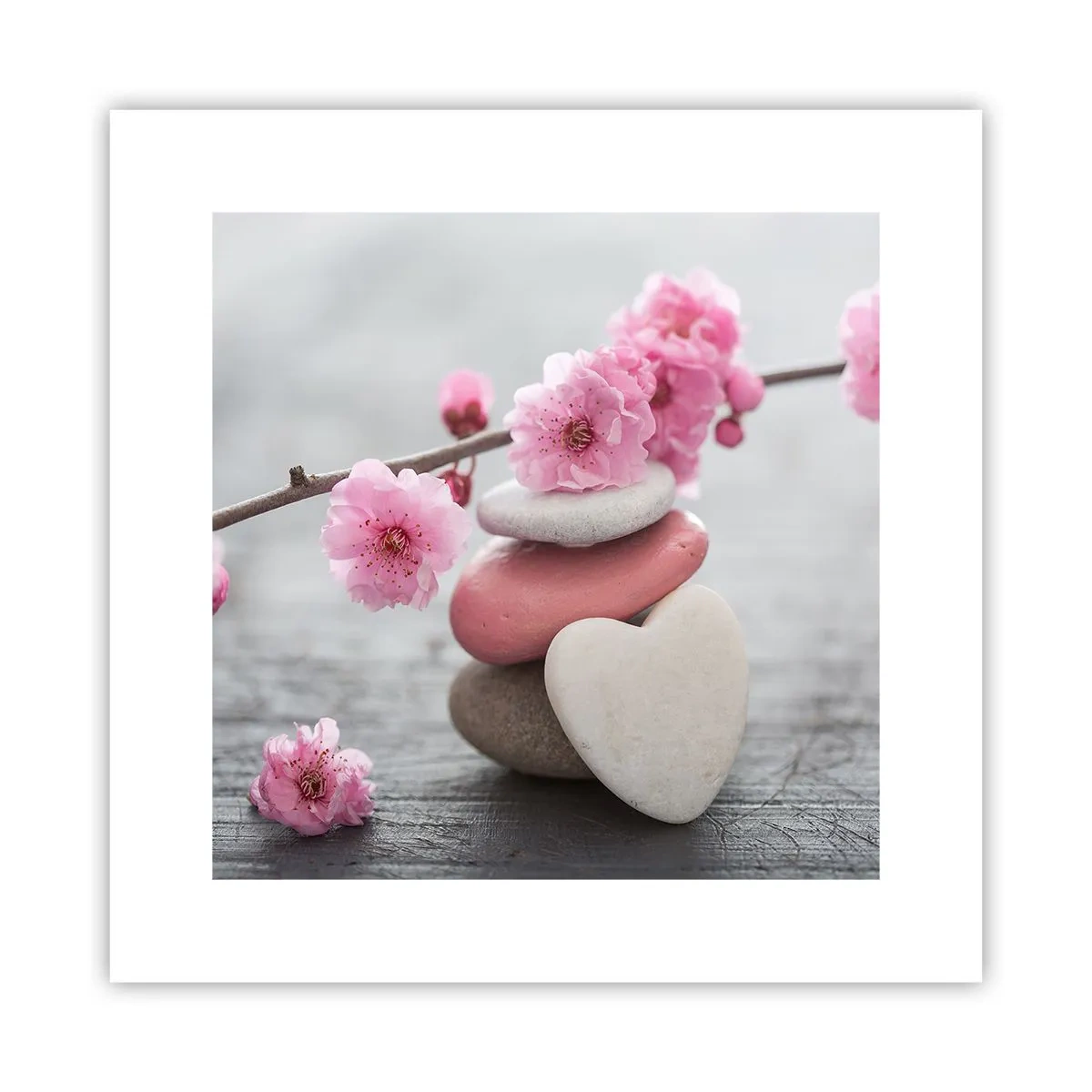 Plakat - Kirsebærblomstens lyksalighed - 30x30 cm