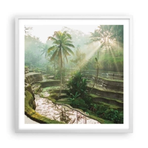 Plakat i hvid ramme - Voksende op i solen - 60x60 cm