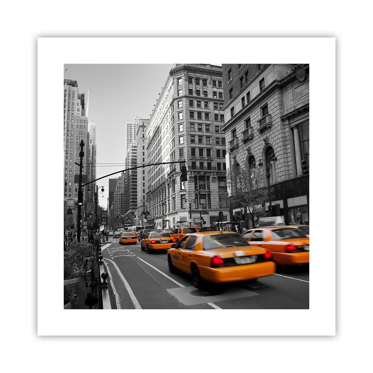 Plakat - Storbyens sol - 40x40 cm