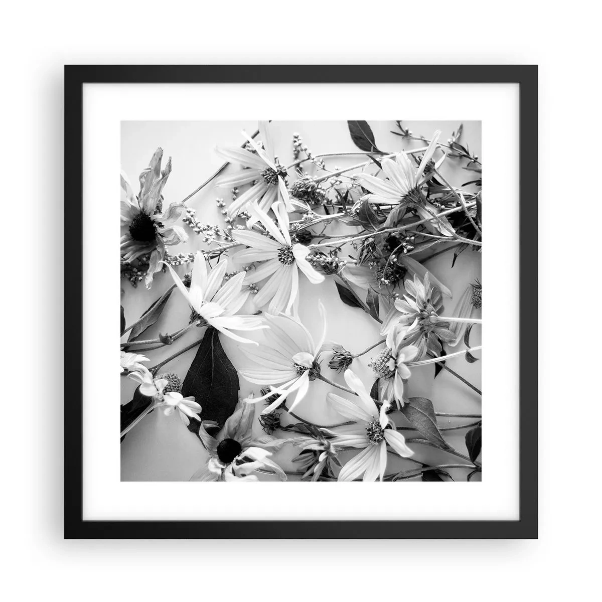 Plakat i sort ramme - Blomster uden buket - 40x40 cm