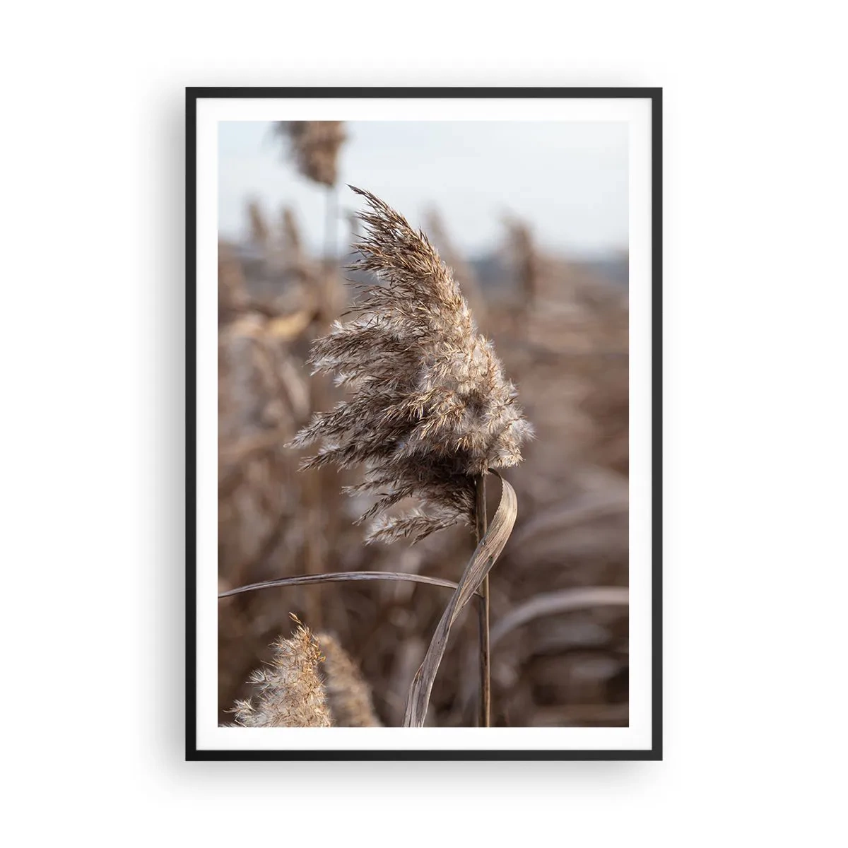 Plakat i sort ramme - Tid til at flyve væk med vinden - 70x100 cm